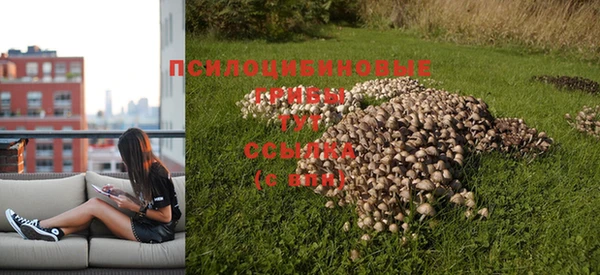 гашишное масло Нефтегорск