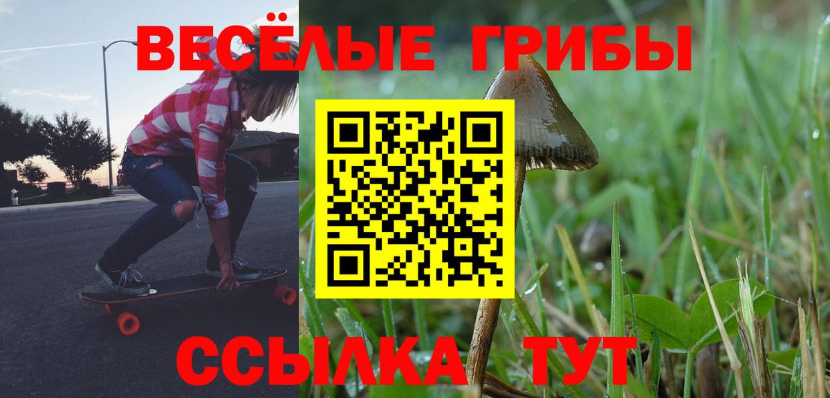 Краснокамск  Псилоцибиновые грибы GOLDEN TEACHER  Галлюциногенные грибы мицелий  Вход с VPN 